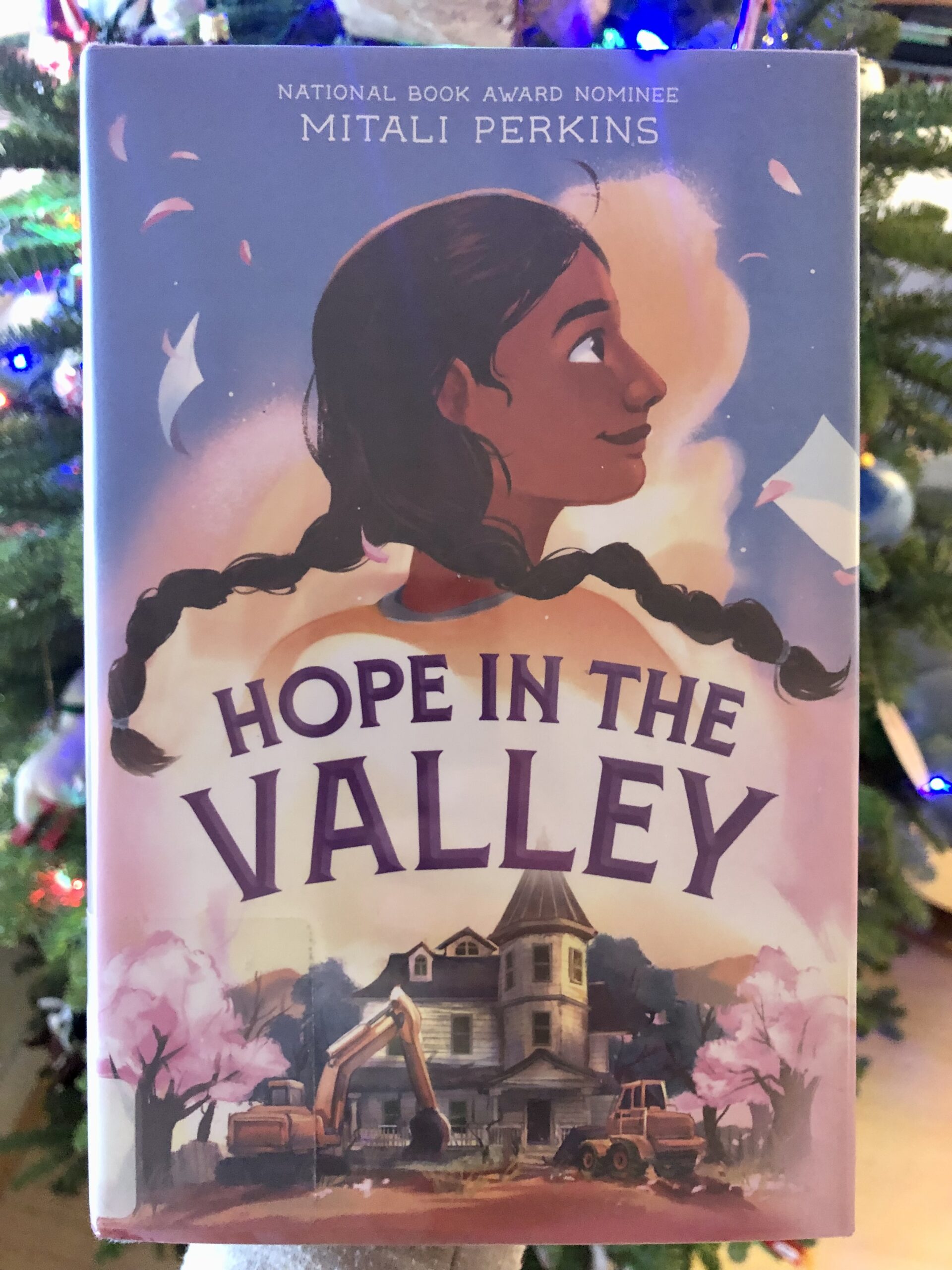 “Hope in the Valley” by Mitali Perkins