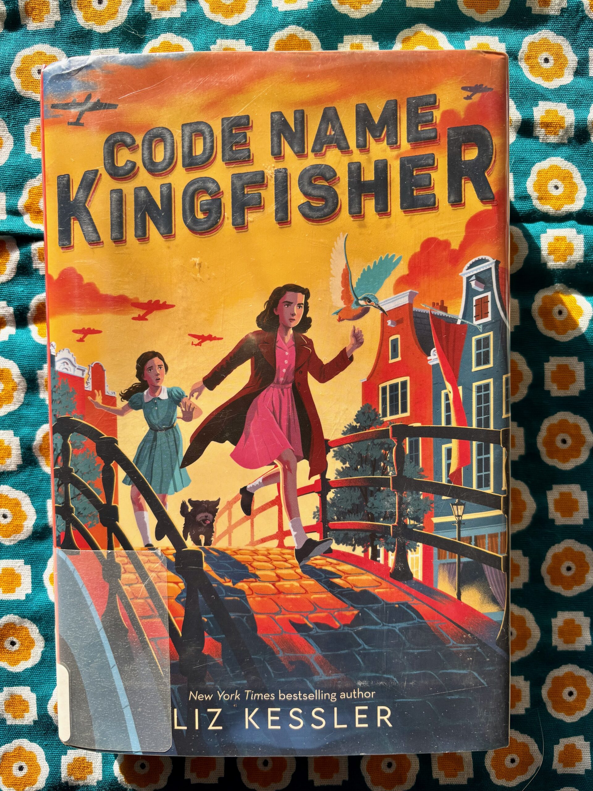 “Code Name Kingfisher” by Liz Kessler
